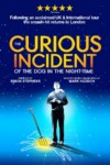 Curious Incident Of The Dog In The Night Time