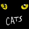 CATS The Musical Tour