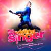 The Wedding Singer Tour