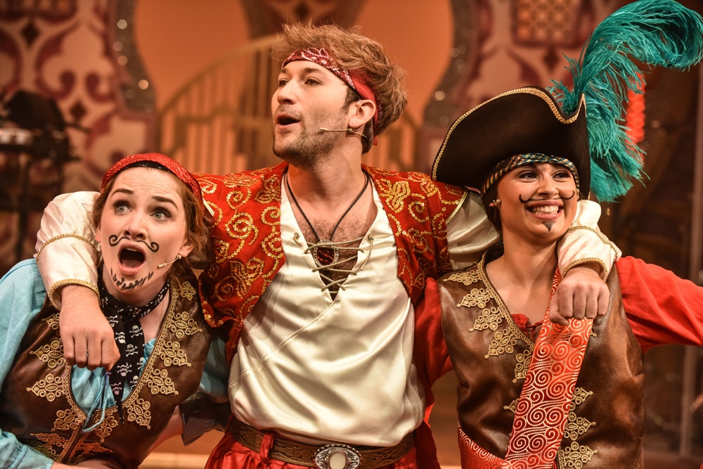Book now for Sinbad The Rock 'N' Roll Panto at New Wolsey Theatre