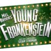 Mel Brooks' new musical comedy Young Frankenstein will come to London's Garrick Theatre in Autumn 2017