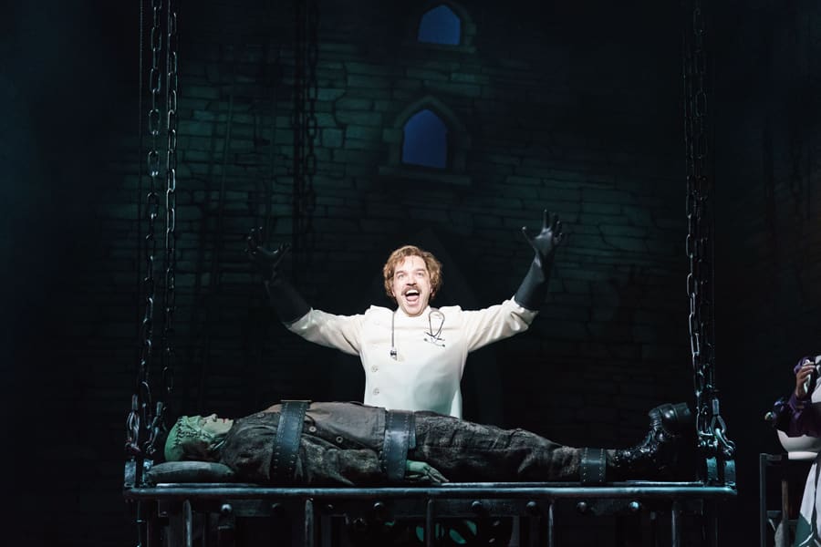 Young Frankenstein the musical