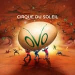 Cirque Du Soleil OVO UK Tour