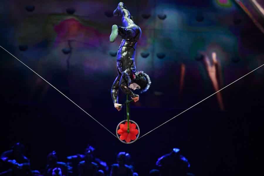 OVO Cirque Du Soleil