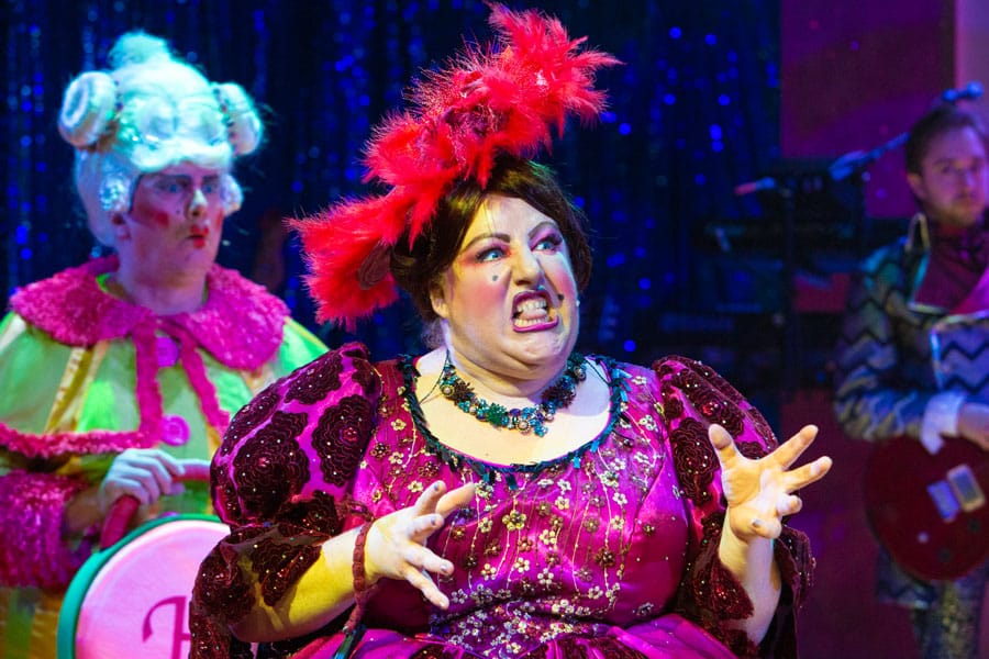 Cinderella The Rock N Roll Panto New Wolsey Theatre